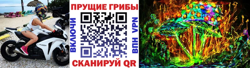 Псилоцибиновые грибы мицелий  Агидель 